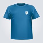 Remera blue house
